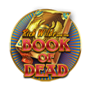 book-of-dead-icon